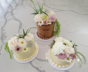 Jenni & Dave homeshot 18.1.25 Exeter - Trio of Wedding Cakes